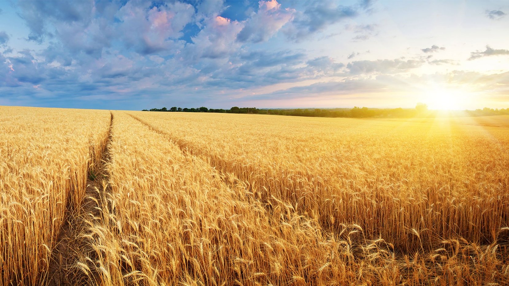 Unsere sozialeVerantwortung