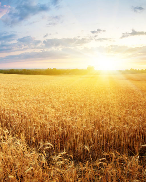 Soziale Verantwortung