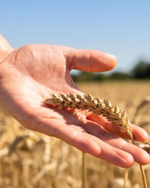 Verantwortung & Qualität